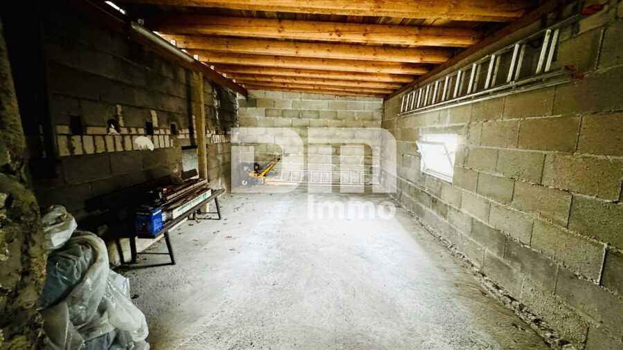 Wohnhausensemble auf großem Grundstück mit Nebengebäuden als langfristige Kapitalanlage - Nebengebäude 1 / Halle